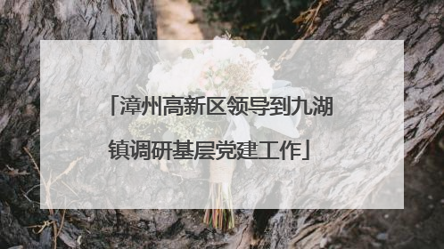 漳州高新区领导到九湖镇调研基层党建工作