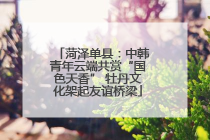 菏泽单县：中韩青年云端共赏“国色天香” 牡丹文化架起友谊桥梁