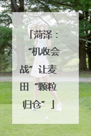 菏泽：“机收会战”让麦田“颗粒归仓”