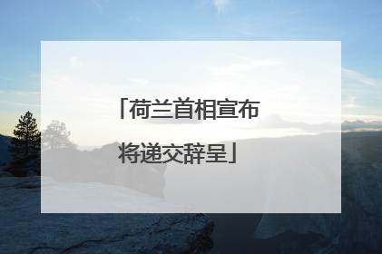 荷兰首相宣布将递交辞呈