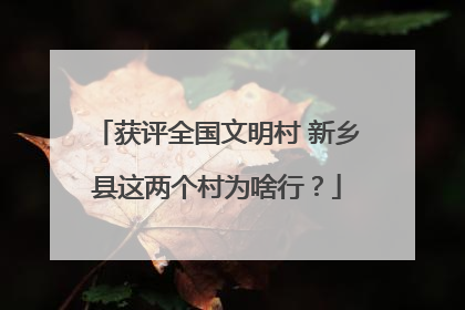 获评全国文明村 新乡县这两个村为啥行？