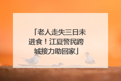 老人走失三日未进食！江夏警民跨城接力助回家