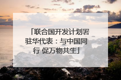 联合国开发计划署驻华代表：与中国同行 促万物共生