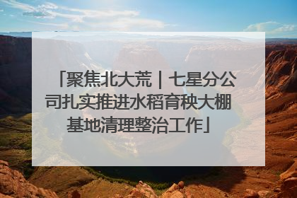 聚焦北大荒｜七星分公司扎实推进水稻育秧大棚基地清理整治工作