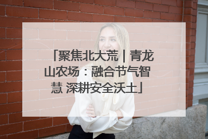 聚焦北大荒｜青龙山农场：融合节气智慧 深耕安全沃土