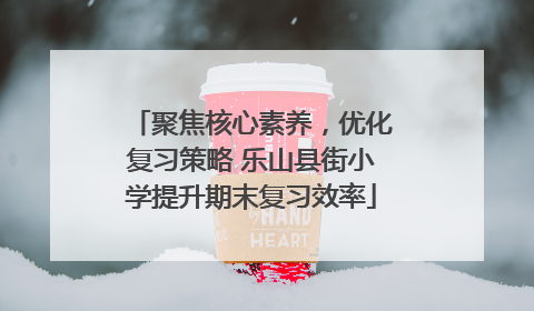 聚焦核心素养，优化复习策略 乐山县街小学提升期末复习效率