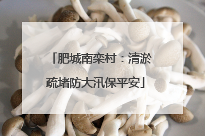 肥城南栾村：清淤疏堵防大汛保平安