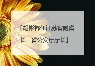 胡彬郴任江苏省副省长、省公安厅厅长