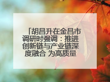 胡昌升在金昌市调研时强调：推进创新链与产业链深度融合 为高质量发展塑造新动能新优势