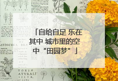 自给自足 乐在其中 城市里的空中“田园梦”