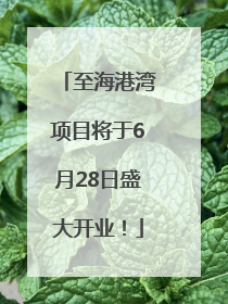 至海港湾项目将于6月28日盛大开业！
