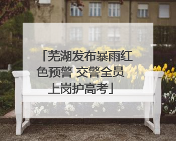 芜湖发布暴雨红色预警 交警全员上岗护高考