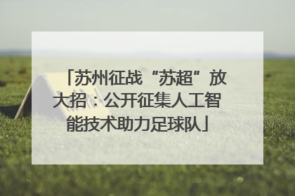 苏州征战“苏超”放大招：公开征集人工智能技术助力足球队