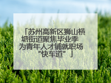 苏州高新区狮山横塘街道聚焦毕业季 为青年人才铺就职场“快车道”
