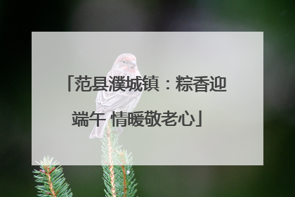 范县濮城镇：粽香迎端午 情暖敬老心