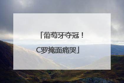 葡萄牙夺冠！C罗掩面痛哭