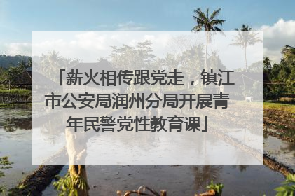 薪火相传跟党走，镇江市公安局润州分局开展青年民警党性教育课