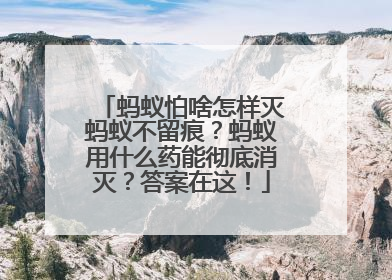 蚂蚁怕啥怎样灭蚂蚁不留痕？蚂蚁用什么药能彻底消灭？答案在这！