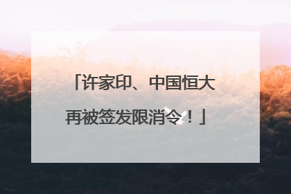 许家印、中国恒大再被签发限消令！