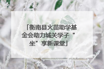衡南县火苗助学基金会助力城关学子“坐”享新课堂