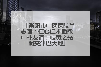 衡阳市中医医院肖志强：仁心仁术播撒中非友谊，岐黄之光照亮津巴大地
