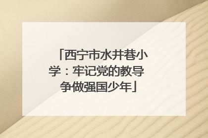 西宁市水井巷小学：牢记党的教导 争做强国少年