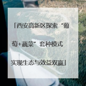 西安高新区探索“葡萄+蔬菜”套种模式 实现生态与效益双赢