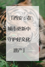 西安：在城市更新中守护好文化遗产