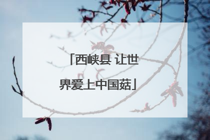 西峡县 让世界爱上中国菇