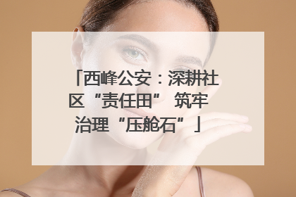 西峰公安：深耕社区“责任田” 筑牢治理“压舱石”