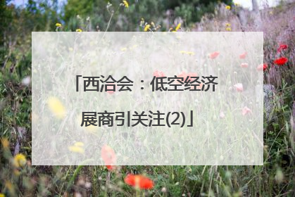 西洽会：低空经济展商引关注(2)