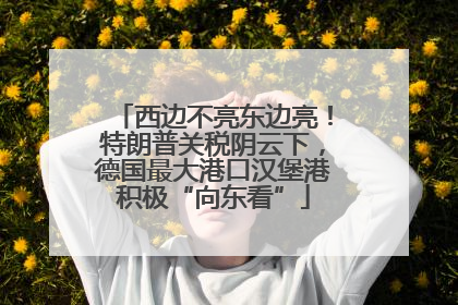 西边不亮东边亮！特朗普关税阴云下，德国最大港口汉堡港积极“向东看”