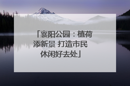 襄阳公园：植荷添新景 打造市民休闲好去处