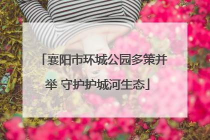 襄阳市环城公园多策并举 守护护城河生态