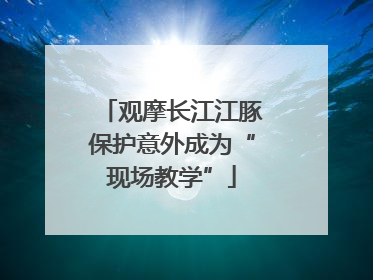 观摩长江江豚保护意外成为“现场教学”