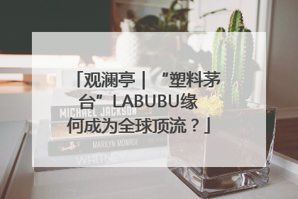 观澜亭｜“塑料茅台”LABUBU缘何成为全球顶流？
