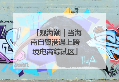 观海潮｜当海南自贸港遇上跨境电商综试区