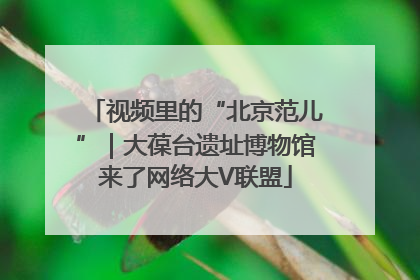 视频里的“北京范儿”｜大葆台遗址博物馆来了网络大V联盟