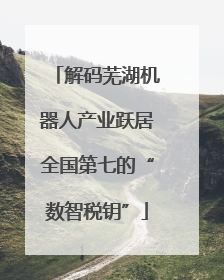 解码芜湖机器人产业跃居全国第七的“数智税钥”