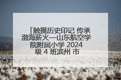 触摸历史印记 传承渤海薪火—山东航空学院附属小学 2024 级 4 班滨州 市档案馆研学实践活动