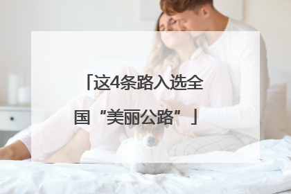 这4条路入选全国“美丽公路”