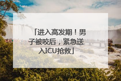 进入高发期！男子被咬后，紧急送入ICU抢救