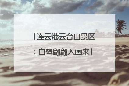 连云港云台山景区：白鹭翩翩入画来