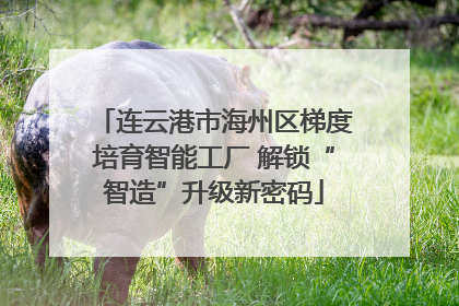 连云港市海州区梯度培育智能工厂 解锁“智造”升级新密码