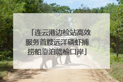 连云港边检站高效服务首艘远洋磷虾捕捞船靠泊赣榆口岸