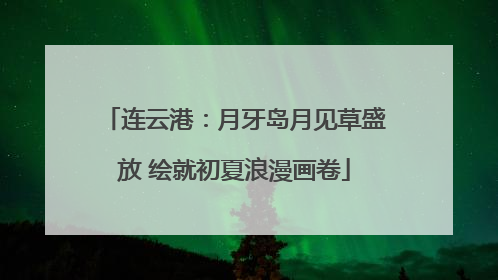 连云港：月牙岛月见草盛放 绘就初夏浪漫画卷