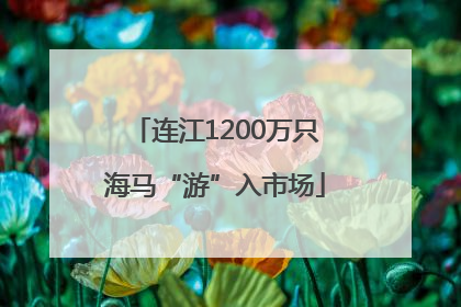 连江1200万只海马“游”入市场