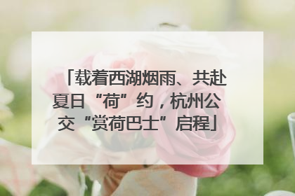 载着西湖烟雨、共赴夏日“荷”约，杭州公交“赏荷巴士”启程