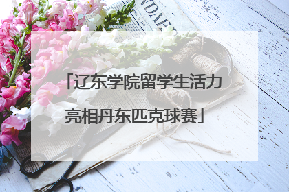 辽东学院留学生活力亮相丹东匹克球赛