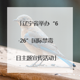 辽宁省举办“6·26”国际禁毒日主题宣传活动